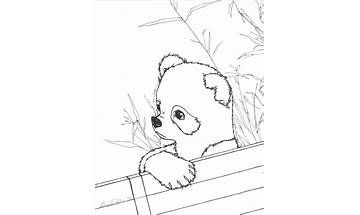 Baby Panda's Coloring Pages for Android - Download the APK from Habererciyes